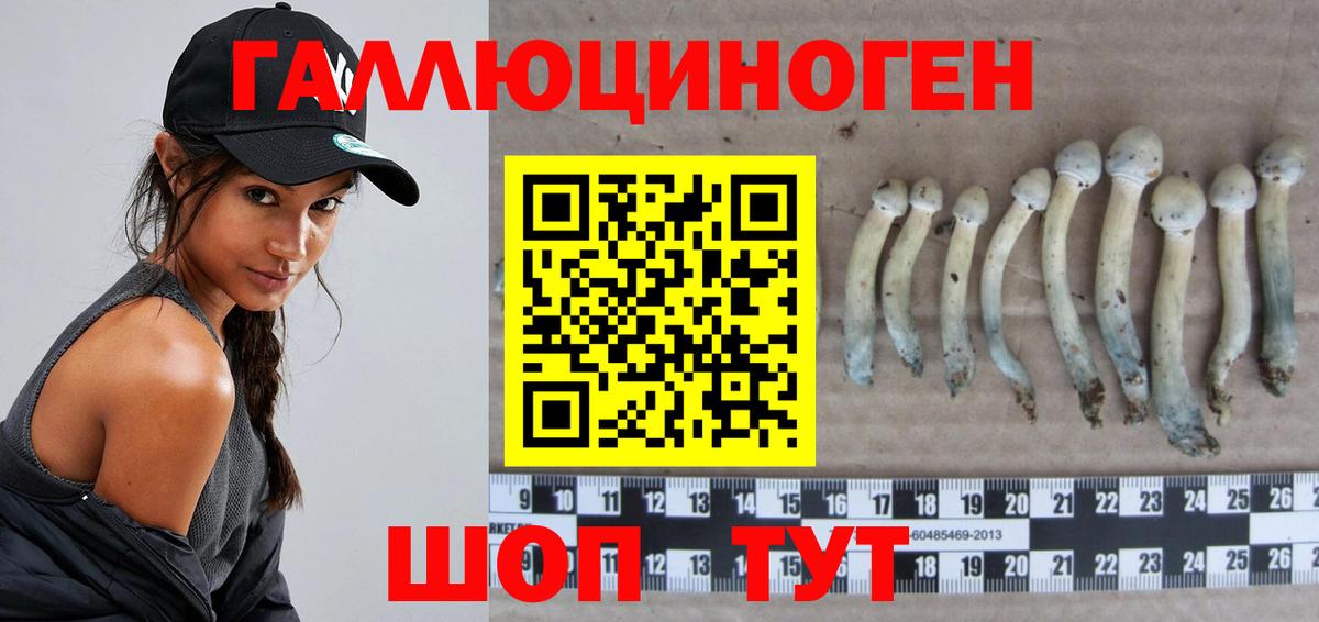 Кудымкар  Галлюциногенные грибы Magic Shrooms  Галлюциногенные грибы прущие грибы  Вход с VPN 