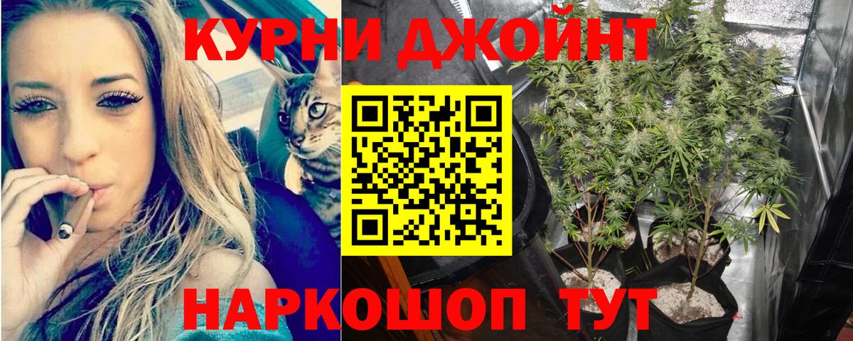 Кудымкар  Каннабис план  Вход с VPN  Бошки Шишки White Widow  Конопля тримм  Каннабис тримм 